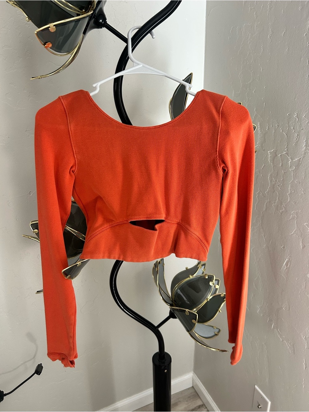 Free People Long-Sleeve Cutout Crop Top
